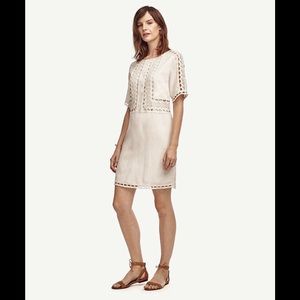 Ann Taylor Crochet Shift Dress